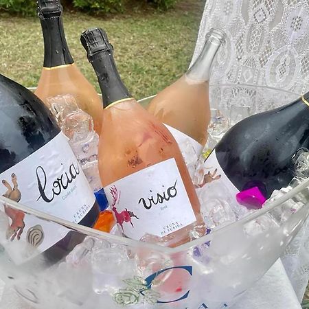 Cruna Di Subida Wine Country House Cormòns Екстериор снимка