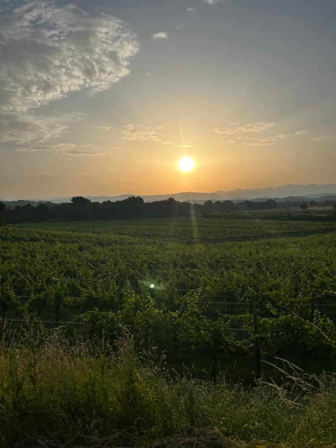 Cruna Di Subida Wine Country House Cormòns Екстериор снимка