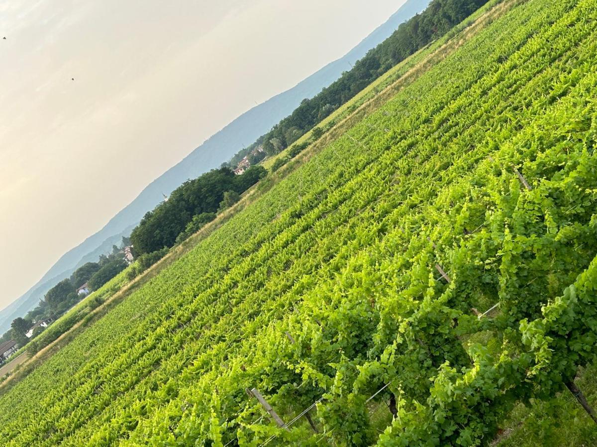 Cruna Di Subida Wine Country House Cormòns Екстериор снимка